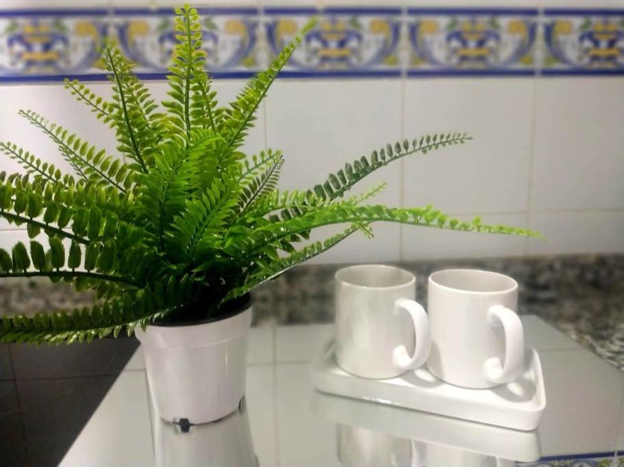 Apartamento Las Canastas Cadiz Centro Екстериор снимка